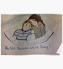 But Not Because We're Gay (dear Evan Hansen) Poster