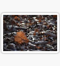 Farbe Pop-Blatt Sticker