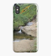 Stream at Canon Beach iPhone Case/Skin