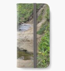 Stream at Canon Beach iPhone Wallet/Case/Skin