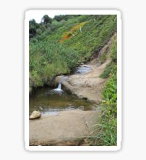 Stream at Canon Beach Sticker