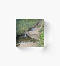 Stream at Canon Beach Acrylic Block