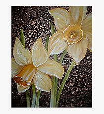 Daffodils Photographic Print