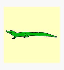 Crocodile Photographic Print