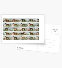 Set of 25 Famous racehorses Postcards