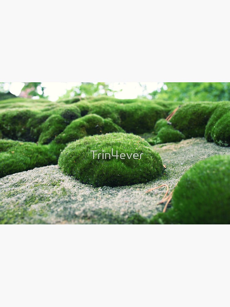 Moss pillow by Trin4ever