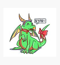 Kitty Dragon Photographic Print