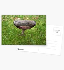 Pitchfork Postcards