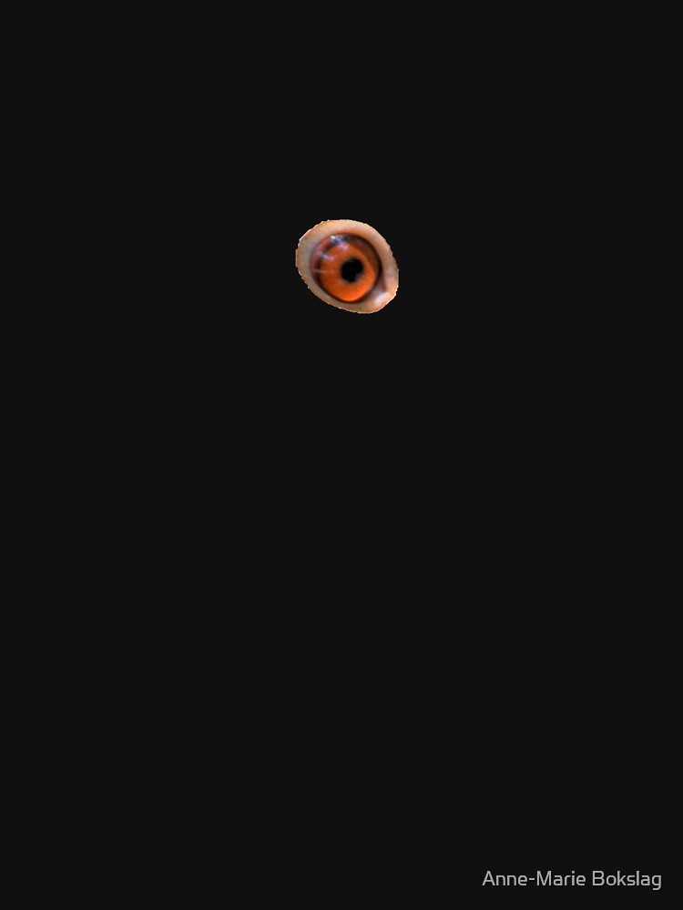 The eye by amb1946