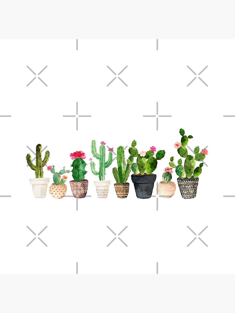 Cactus by BekkaCampbell