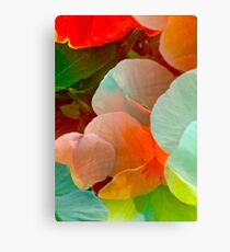 Petal Patter Canvas Print