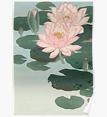 Flowering Water Lily, Ohara Koson Poster
