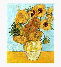 Sunflowers Photographic Print