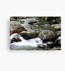 Rush Canvas Print