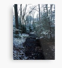 First Snow Metal Print