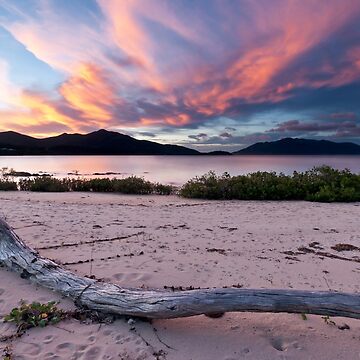 Artwork thumbnail, Dingo Beach Sunset by wootton60