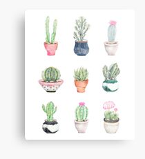 Succulents Metal Print