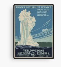 Yellowstone National Park Canvas Print