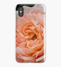 Peach iPhone Case/Skin