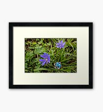 D20 Framed Print
