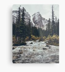mountain rapids Metal Print