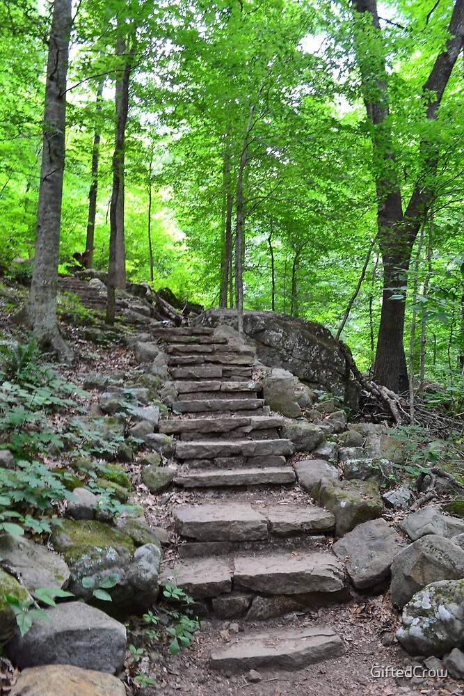 "Stone Staircase - Lost Valley Trail" By GiftedCrow | Redbubble