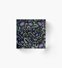 Cool Tentacles Pattern Acrylic Block