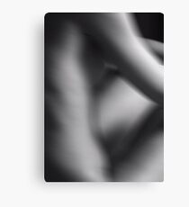 Sex in motion Canvas Print