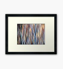 Ode to Williams Framed Print