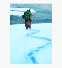 Coming Home For Chrismas Photographic Print
