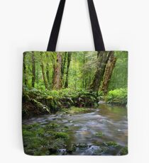 gondwana land Tote Bag