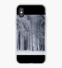invierno iPhone Case