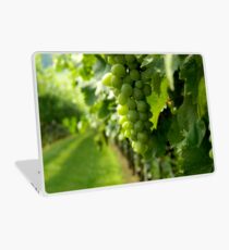 Vineyard View ^ Laptop Skin