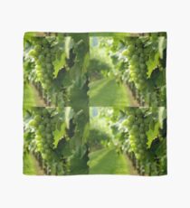 Vineyard View ^ Scarf