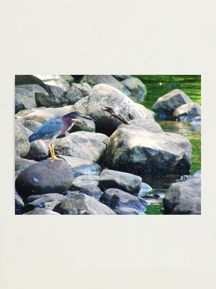 Alternate view of Nature Never Fails You Photographic Print