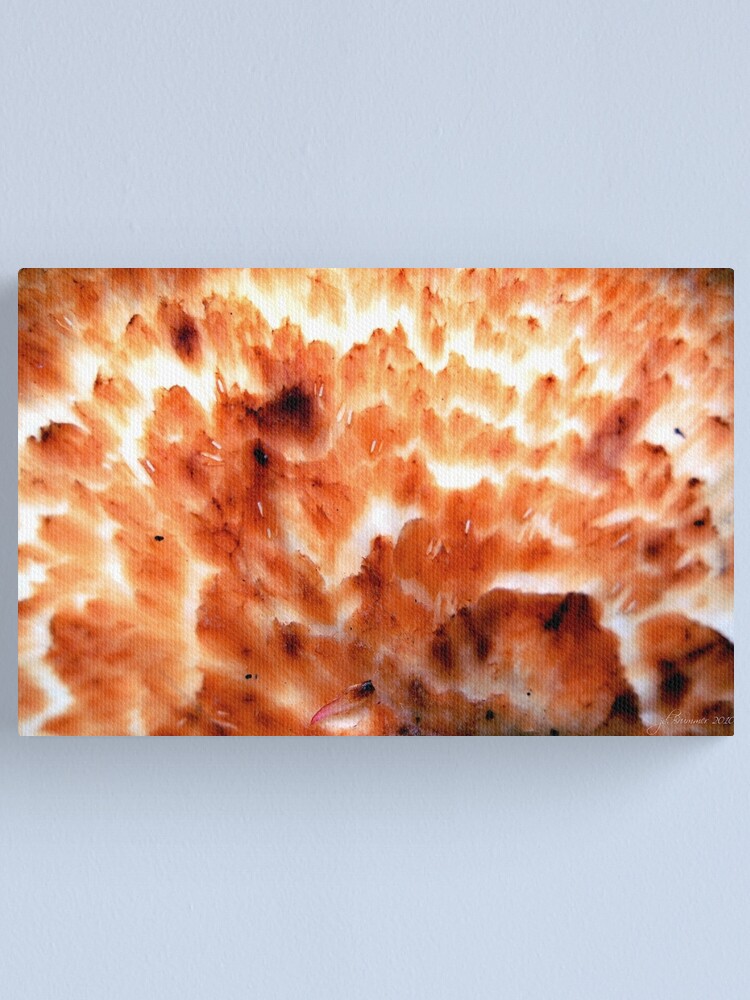 Alternate view of Inner Glow Canvas Print