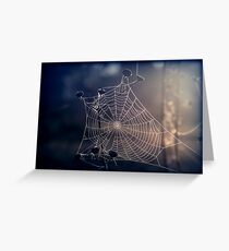Spiders Sunrise Greeting Card