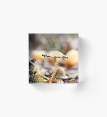 Glistening Ink Cap Acrylic Block