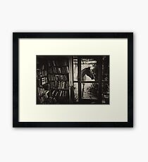 Visitor Framed Print