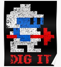 DIG IT Poster