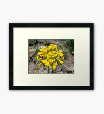 Unity Framed Print