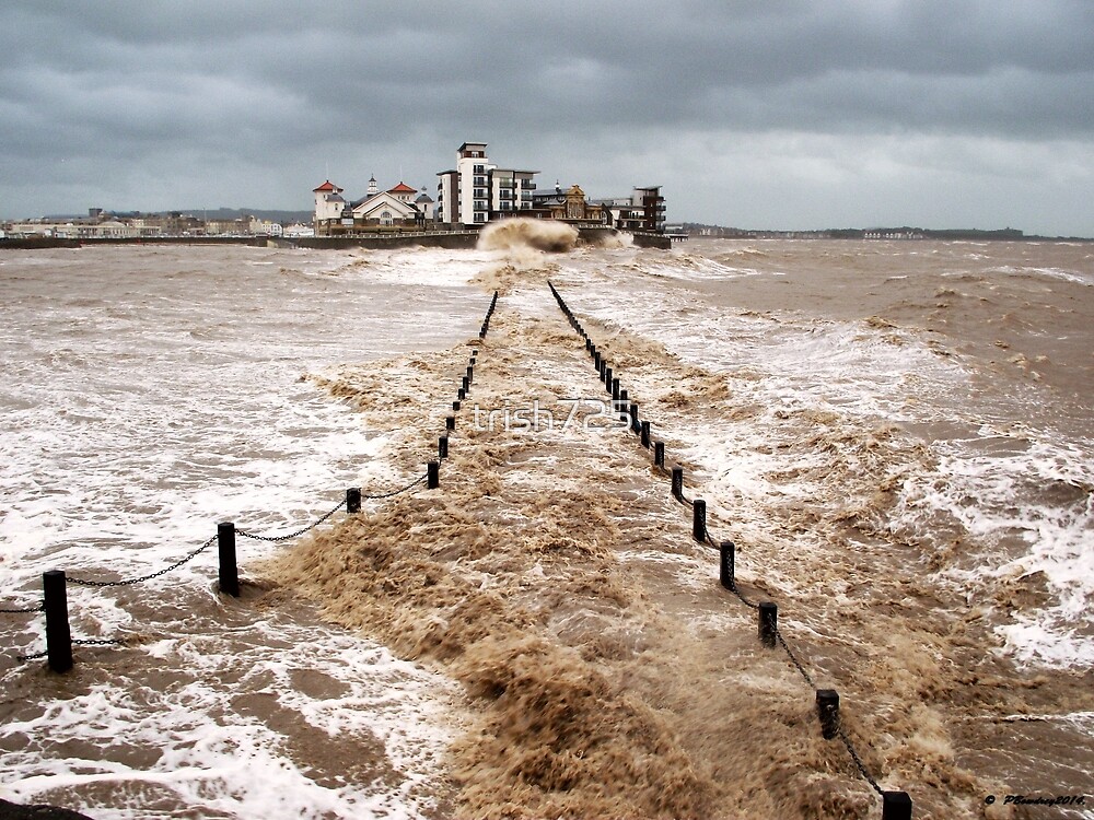 "Batten Down the Hatches" by trish725 Redbubble