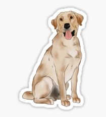 Yellow Labrador Sticker