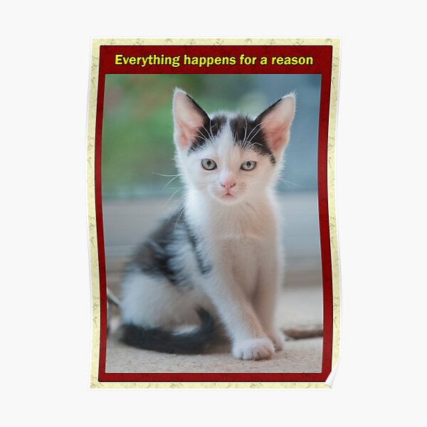 Everything happens for a reason Poster