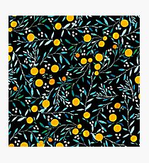 Oranges on Black Photographic Print