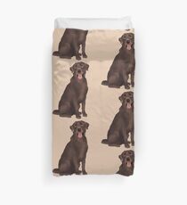 Funda nórdica Chocolate Labrador