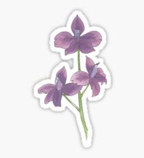 July flower Sticker