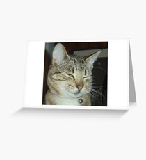 Sly Cat Greeting Card
