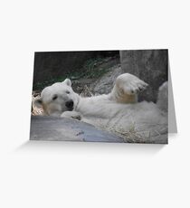 Polar Bear Greeting Card