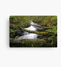 Triplet Falls, Otways, Australia Canvas Print